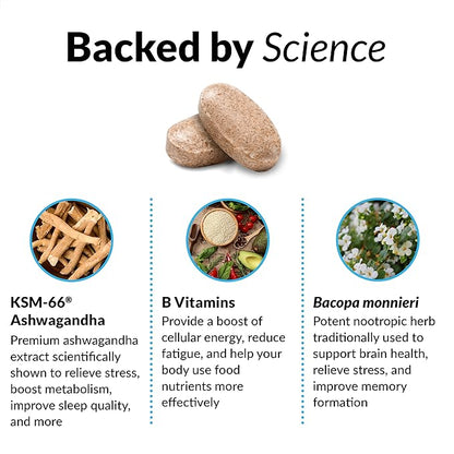 FORCE FACTOR Amazing Ashwa for Stress Relief, Memory, Focus, and Immune Support Health, Ashwagandha Supplement with KSM-66 Ashwagandha for Stress, Vitamins, Minerals, and Antioxidants, 360 Tablets