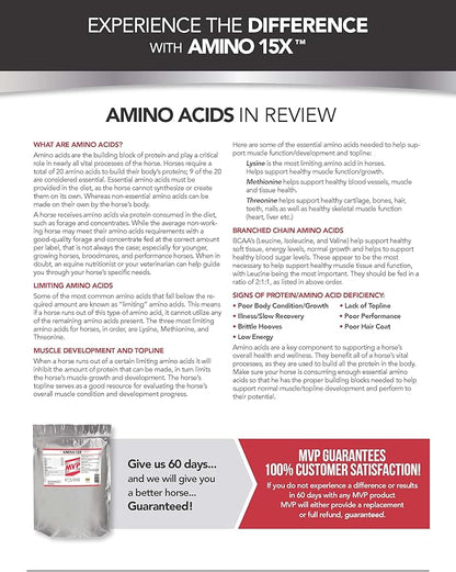 MVP Amino 15X (1.5lb) Supports Healthy Muscle Function, Development and Recovery in Horses.