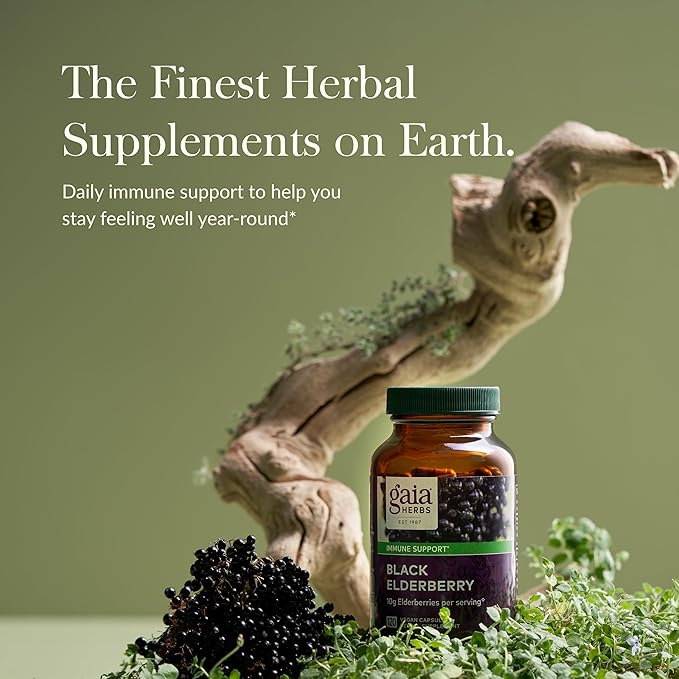 Gaia Herbs Black Elderberry - Daily Immune Support Supplement to Help Maintain Well-Being- with Black Elderberries and Acerola Fruit for Antioxidant Support - 120 Vegan Capsules (60-Day Supply)