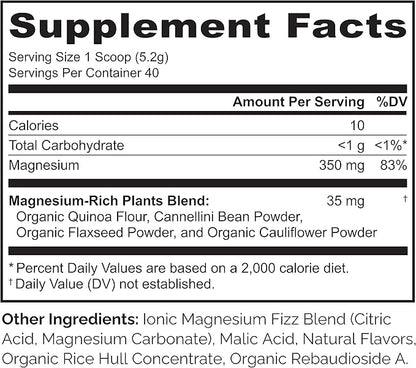 NATURELO Magnesium Powder - Whole Food Calm Magnesium Powder with Quinoa, Cauliflower, & Flaxseed for Stress Relief, Raspberry Lemon 40 Servings, 7oz