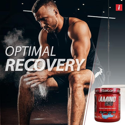 iSatori Amino-GRO BCAA Powder, Branched Chain Amino Acids with Glutamine, Electrolyte Powder & Bio-GRO Bio-Active Peptides for Muscle Growth & Post Workout Recovery, Blue Razz Snow Cone (30 Servings)