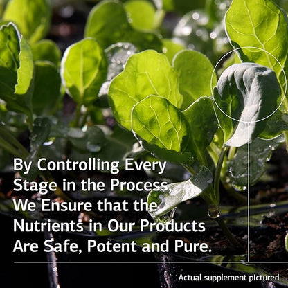 Standard Process Prost-X - Whole Food Prostate, Bone Health Supplement and Bone Support with Spanish Moss - 90 Capsules