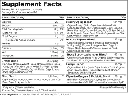 NATURELO Raw Greens Superfood Powder - Mixed Berry Flavor - Boost Energy, Detox, Enhance Health - Organic Spirulina - Wheat Grass - Whole Food Nutrition from Fruits & Vegetables - 480 Grams