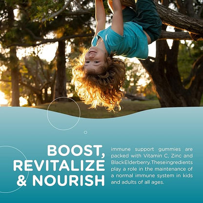 Zahler - Chapter One Immune Support Gummies for Kids with Vitamins C, Zinc & Black Elderberry (60 Flavored Gummies) Kosher Immunity Vitamin C & Elderberry Gummies for Kids & Adults - Made in USA