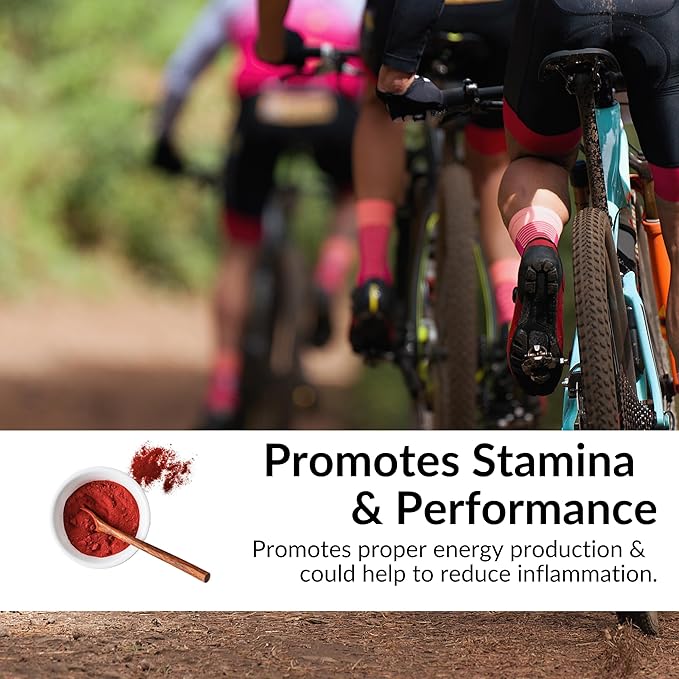 Kaya Naturals Premium Organic Beet Root Powder Supplements - Promotes Healthy Circulation and Nitric Oxide Flow - Non-GMO and Gluten Free - 30 Count