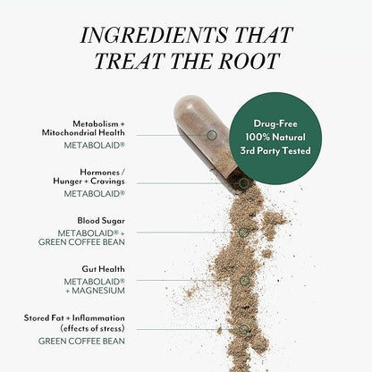 Veracity Ignite - Natural Cellular Metabolic Support Supplement, Hormone Regulator for Women - Body Recomposition GLP-1 Regulator - 100% Non-Drug Formula