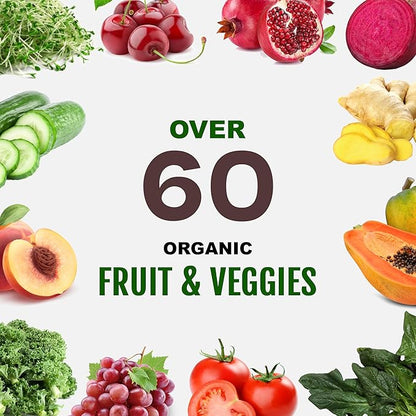 Vegan Sport Protein Powder Chocolate – 30g Plant Based Protein, VELOSITOL, BCAAs, Organic Greens & Fruits, Probiotics, Tart Cherry for Post Workout Recovery, Inform Sports Certified Keto - 20 servings