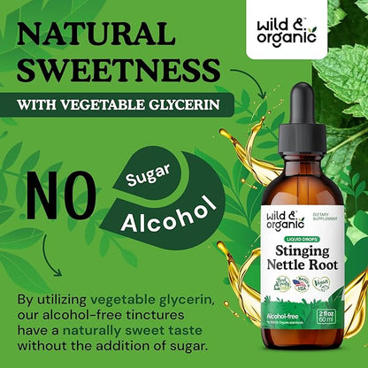 Wild & Organic Stinging Nettle Root Drops - Stinging Nettle Extract Tincture - Alcohol Free Nettle Supplement - Vegan, Sugar Free - 2 fl oz