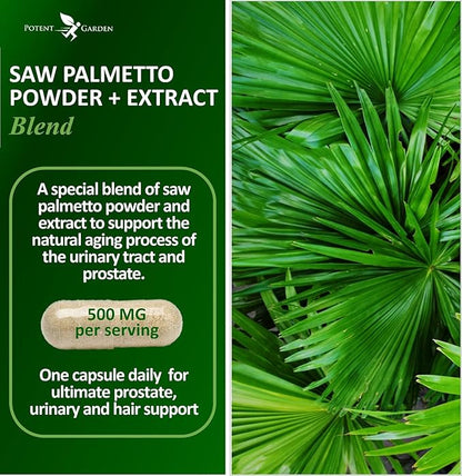 Potent Garden Saw Palmetto 500 mg - Prostate Supplements for Men - Supports Healthy Urination Frequency & Flow - Non GMO, 100 Saw Palmetto Capsules