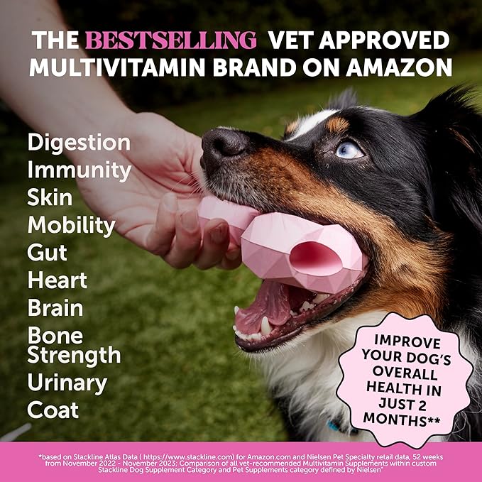 Pet Honesty Dog Multivitamin - 10 in 1 Dog Vitamins for Health & Heart - Fish Oil for Dogs, Glucosamine, Probiotics, Omega Fish Oil - Dog Vitamins and Supplements for Skin and Coat (Chicken 180 ct)