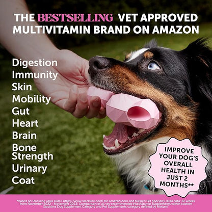 Pet Honesty Dog Multivitamin - 10 in 1 Dog Vitamins for Health & Heart - Fish Oil for Dogs, Glucosamine, Probiotics, Omega Fish Oil - Dog Vitamins and Supplements for Skin and Coat (Chicken 180 ct)