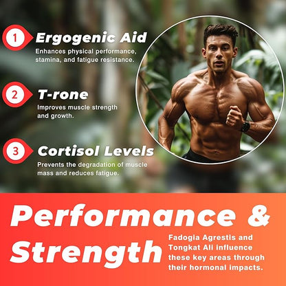 Fadogia Agrestis 20:1 with Tongkat Ali 1000mg Complex Longjack Tongkat Ali Extract with Fadogia Agrestis 600mg Supplement - 60 Days Supply