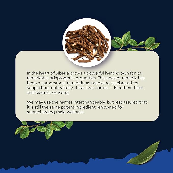 Potent Black Maca Root Capsules for Men - Herbal Wellness Supplement with Siberian Ginseng Ashwagandha and Black Maca Root - Men’s Wellness Supplement to Support General Health (60 Servings)