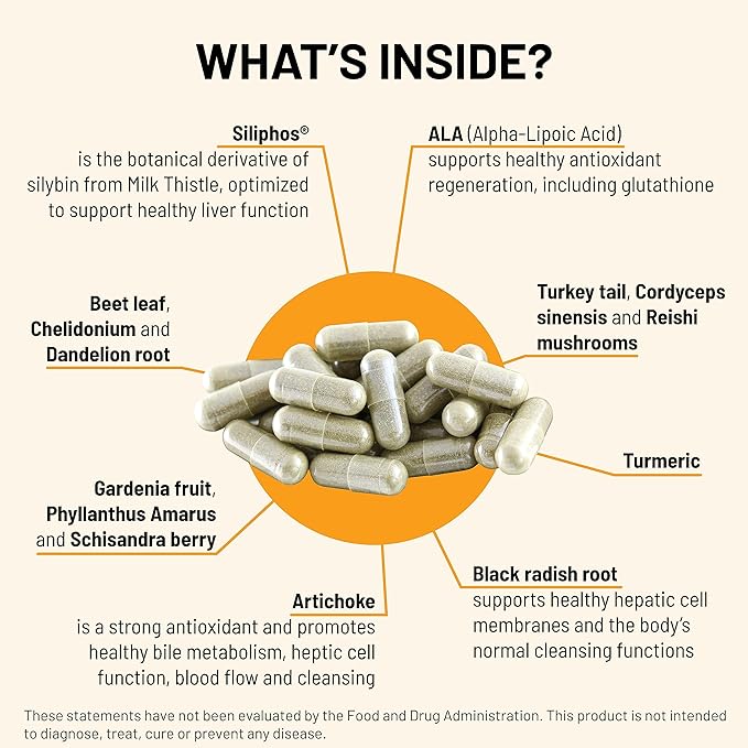 Mountain Peak Nutritionals Liver C - Organ Supplement Helps Maintain Healthy Liver Function & Energy Production - w/Siliphos® & Mushrooms - Hypoallergenic Dietary Supplement (90 Vegetarian Capsules)