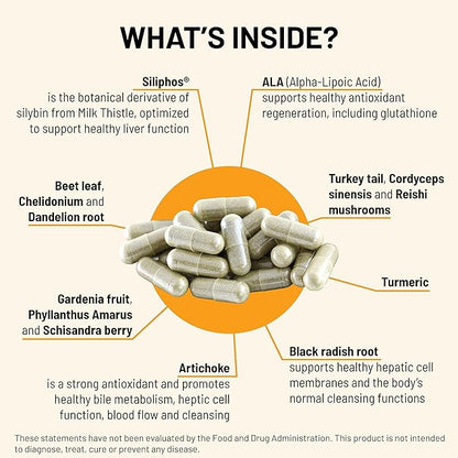 Mountain Peak Nutritionals Liver C - Organ Supplement Helps Maintain Healthy Liver Function & Energy Production - w/Siliphos® & Mushrooms - Hypoallergenic Dietary Supplement (90 Vegetarian Capsules)
