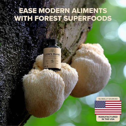 Lions Mane Supplement Capsules with Turkey Tail – Nootropic Brain Fog, Focus, Memory, Nerve Function, & Immune Support Supplement – Non-GMO 1200 Mg Lions Mane Mushroom Supplement, 120 Caps.