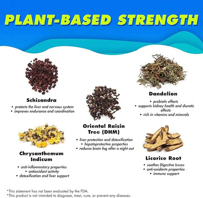 The Plug Liver Cleanse Detox & Repair Drink - Electrolyte Drink & Dehydration Relief - Last Shot of The Night - Before Sleep After Heavy Night - Morning Relief Drink - Liver Support (2 Pack)