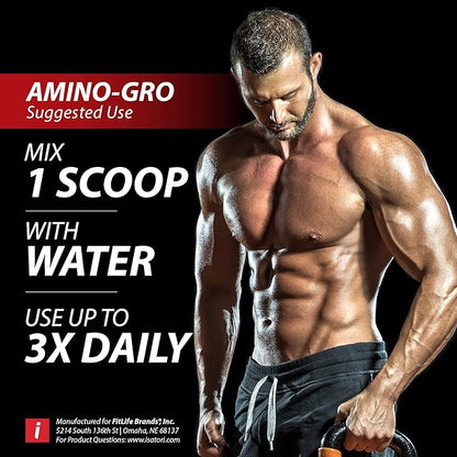 iSatori Amino-GRO BCAA Powder, Branched Chain Amino Acids with Glutamine, Electrolyte Powder & Bio-GRO Bio-Active Peptides for Muscle Growth & Post Workout Recovery, Blue Razz Snow Cone (30 Servings)