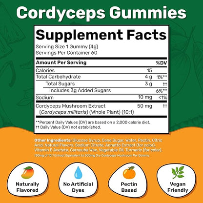 Fungies Cordyceps Mushroom Gummies, Mango & Pineapple Flavor - Mushroom Herbal Supplement Gummy for Adults Supports Endurance, Energy & Performance - Caffeine-Free Energy Gummies - 60 Servings