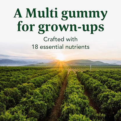 MegaFood Men's Multi - Multivitamin for Men - Gummy Vitamins for Men - Vitamin C, Vitamin D, Zinc, Vitamin B12 & Real Fruit - Immune Support - Vegetarian - Wild Blueberry - 60 Gummies (30 Servings)