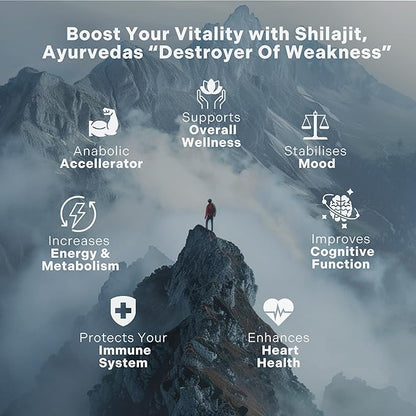 Pure Himalayan Organic Shilajit Resin - 500mg Max Potency, 85+ Trace Minerals, Humic & Fulvic Acid, Natural Shilajit Supplement for Immune Support, Energy & Cognitive Performance, 4 Month Supply, 60g