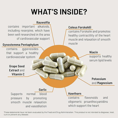 Mountain Peak Nutritionals HTN Support - Organ Supplement - Helps Maintain Healthy Blood Pressure & Cardiovascular System - w/Rauwolfia & Magnesium - Hypoallergenic Dietary Supplement (90 Capsules)