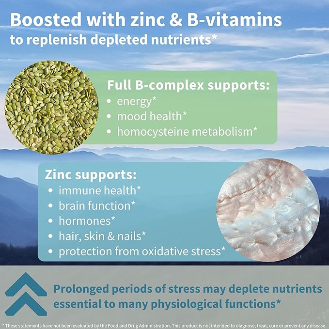 Advanced Ashwagandha KSM-66, L-Theanine & Magnesium, Clean Label, Multi Action Adaptogen Complex for Stress Support with Zinc & B Vitamins, 360 Vegan Capsules, by Igennus