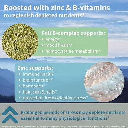 Advanced Ashwagandha KSM-66, L-Theanine & Magnesium, Clean Label, Multi Action Adaptogen Complex for Stress Support with Zinc & B Vitamins, 360 Vegan Capsules, by Igennus