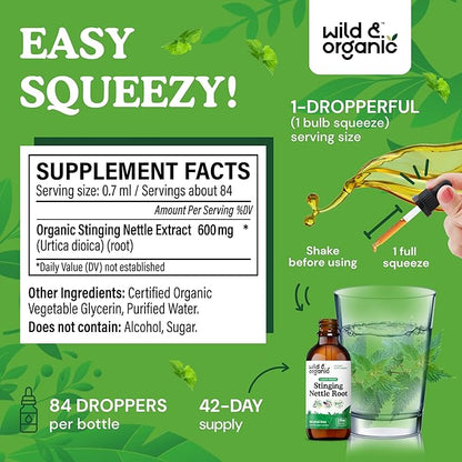 Wild & Organic Stinging Nettle Root Drops - Stinging Nettle Extract Tincture - Alcohol Free Nettle Supplement - Vegan, Sugar Free - 2 fl oz