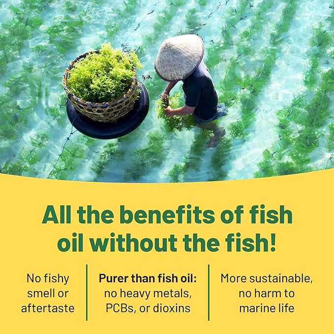 Vegan Vitality Vegan Omega 3 Supplement - 60 Plant Based Algae Oil Soft Gels Essential Fatty Acids with Vegan DHA for Joint, Heart & Immune Support Without EPA