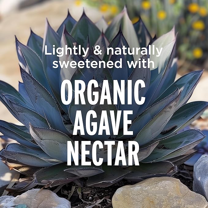 LIFEAID Vitality Blend, Daily Vitamins, Turmeric to Help Reduce Mild Inflammation from Everyday Stress, Healthy Soda Replacement, 100% Clean, Vegan, GF, 12 Fl Oz (Pack of 12)