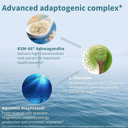 Advanced Ashwagandha KSM-66, L-Theanine & Magnesium, Clean Label, Multi Action Adaptogen Complex for Stress Support with Zinc & B Vitamins, 360 Vegan Capsules, by Igennus
