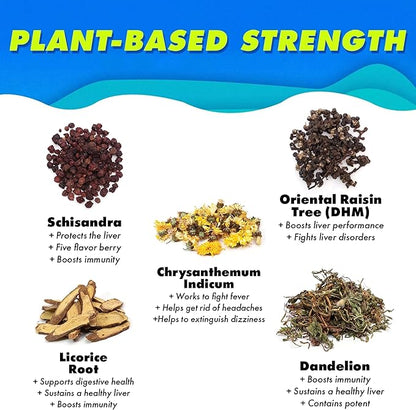 The Plug Cleanse Detox Drink, 96-Pack - All-Natural Plant-Based Electrolyte & Liquid Hydration Pack - Regain Key Nutrients Support Drink