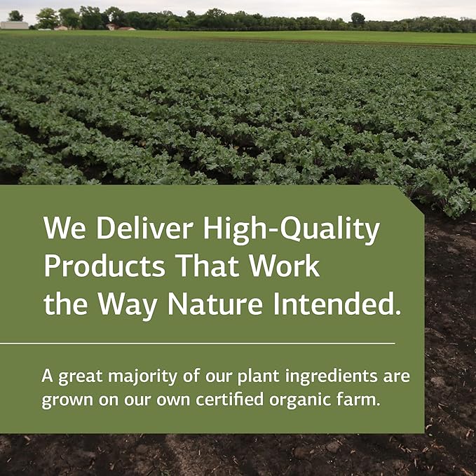 Standard Process Catalyn with Iron - Whole Food Energy, Vitality, and Antioxidant Support with Riboflavin, Vitamin B6, Thiamine, Wheat Germ, Vitamin A, Flaxseed Oil, Calcium - 150 Capsules