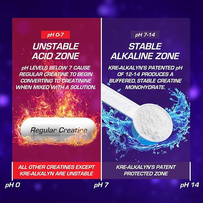 EFX Sports Kre-Alkalyn EFX Powder | pH Correct Creatine Monohydrate Powder Supplement | Strength, Muscle Growth & Performance | 116 Servings (Watermelon Gummy)