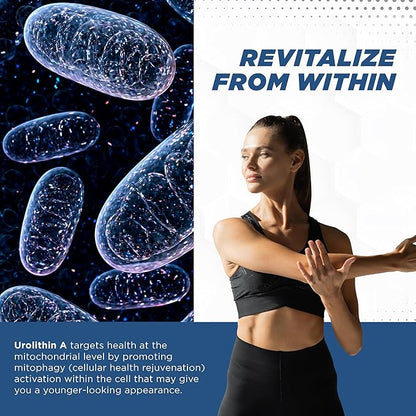 ProMito - Urolithin A Supplement - 500mg Pure Urolithin A Dietary Supplement for Men & Women - Good Alternative to NMN, NAD, CoQ10, Resveratrol & PQQ - Max Life Naturals, 60 Capsules