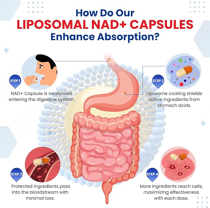 Liposomal NAD+ Nicotinamide Riboside NR with Trans-Resveratrol Quercetin Bilberry Green Tea - Maximum Potency- Support Healthy Aging - Made in The USA