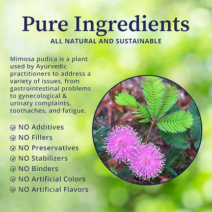 BioPure Mimosa – Wildcrafted Organic Mimosa Pudica Powder to Eliminate Unwanted Organisms, Toxins, & Debris from Gastrointestinal Tract for Gut Health & Balanced Flora Proliferation & Microbiome – 4oz