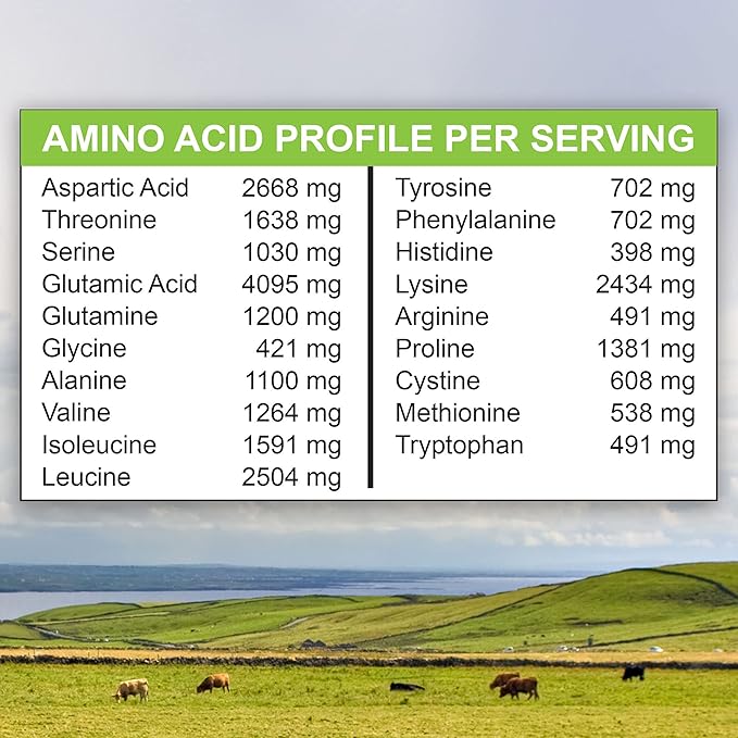 MariGold Grass-fed Whey Protein Isolate Powder - Rich Chocolate Malt Flavor - 1 Lb | 100% Pure, Cold-Processed, Micro-Filtered, Undenatured, Non-GMO, rBGH Free, Soy Free, Gluten Free, Lactose Free