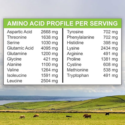 MariGold Grass-fed Whey Protein Isolate Powder - Rich Chocolate Malt Flavor - 1 Lb | 100% Pure, Cold-Processed, Micro-Filtered, Undenatured, Non-GMO, rBGH Free, Soy Free, Gluten Free, Lactose Free