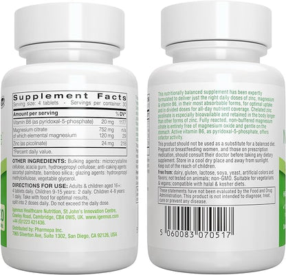 Neurobalance, High Absorption Zinc Magnesium B6 Supplement, Non-GMO Brain, Sleep & Immune, Chelated Zinc Picolinate 24mg, Oxide-Free Magnesium & Vitamin B6, 120 Tablets, by Igennus