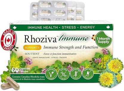 Immune Support, Energy Booster with Vitamin C, D3 and Zinc Supplement, Rhodiola Rosea, Reishi Mushroom Extract, Astragalus, Overall Wellness and Daily Habit - 60 Capsules