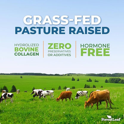 ForestLeaf Multi Collagen Pills with Hyaluronic Acid + Vitamin C | Hydrolyzed Collagen Supplements for Women or Men | Multi Collagen Capsules Peptides for Skin, Wrinkles, 120 Caps