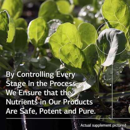 Standard Process Biost - Teeth and Bone Health Supplement with Whole Food Magnesium Citrate, Calcium Lactate, Manganese, and More - 180 Tablets