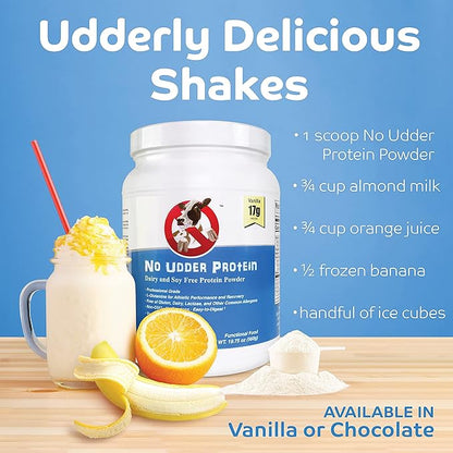 No Udder Protein Dairy Free Vegan Soy Free Protein Powder, Vanilla Delight