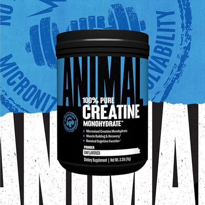 Animal Micronized Creatine Monohydrate Powder - Delays Muscle Fatigue, Supports Muscle Growth, Endurance, ATP Production, Cognitive Function, Strength, and Recovery for Men & Women - Unflavored, 1000g