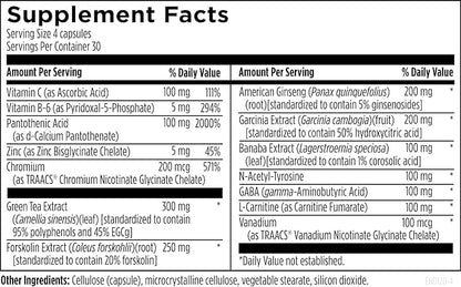 Designs for Health EndoTrim - Green Tea Extract, Garcinia Cambogia, Coleus Forskohlii + L-Carnitine Supplement for Men + Women - Vegan (120 Capsules)