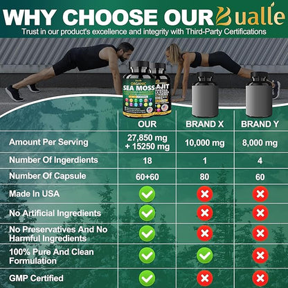 Sea Moss and Shilajit Bundle - 60 Count - Sea Moss 18000mg, Black Seed Oil 4000mg, Ashwagandha 1000mg, Ginger & Shilajit 9000mg, Rhodiola Rosea 1000mg, All in 1 Supplements (2 Pack)