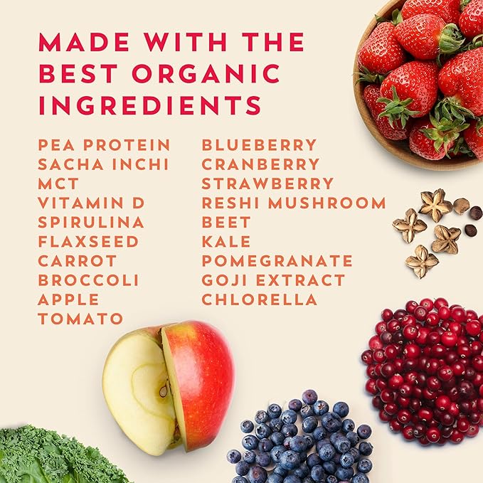 Veeg Meal Replacement Powder, All-in-One Plant-Based Protein Superfood with 50+ Superfoods & Vitamins, Organic Greens & Reds, MCT, Probiotics | Non GMO Vegan Protein Powder Vanilla, 15 Servings