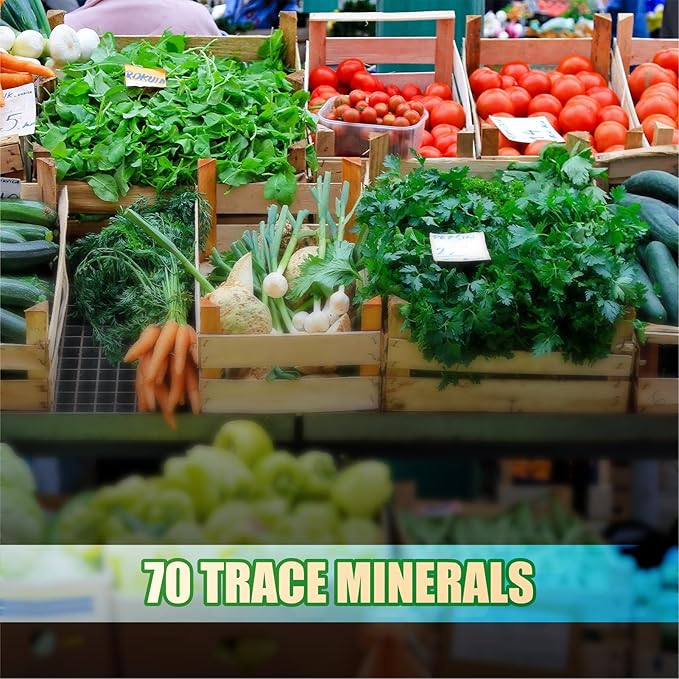 IMMUNO 150 - IMMUNO 150 Complete Multi - The Ultimate Multivitamin & Immune Support Supplement - Essential Daily Nutrients for Vitality & Wellness - 150 Capsules (1 Bottle)